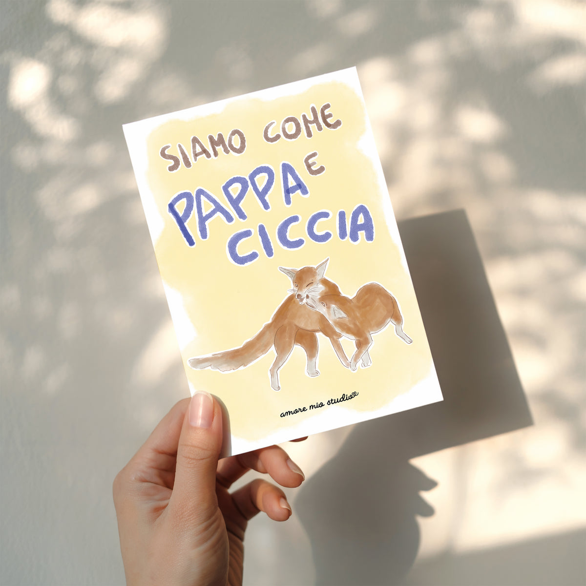 pappa e ciccia